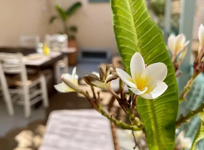 Calass House Rodos Center Niochori *